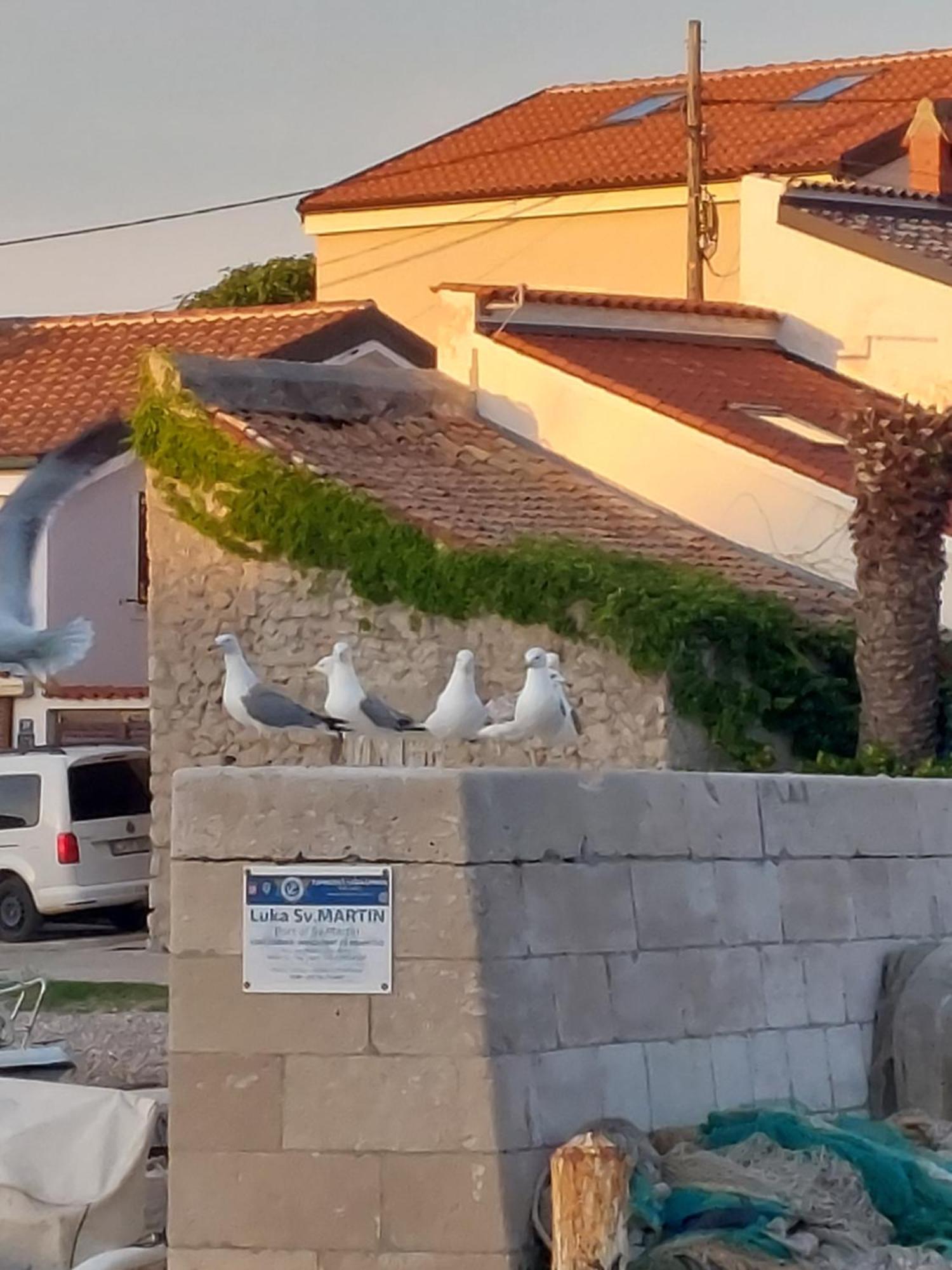 Apartments Suncica Mali Losinj Exterior photo