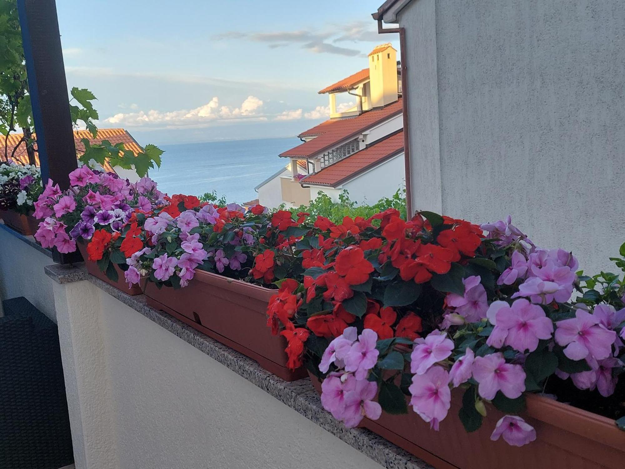 Apartments Suncica Mali Losinj Exterior photo