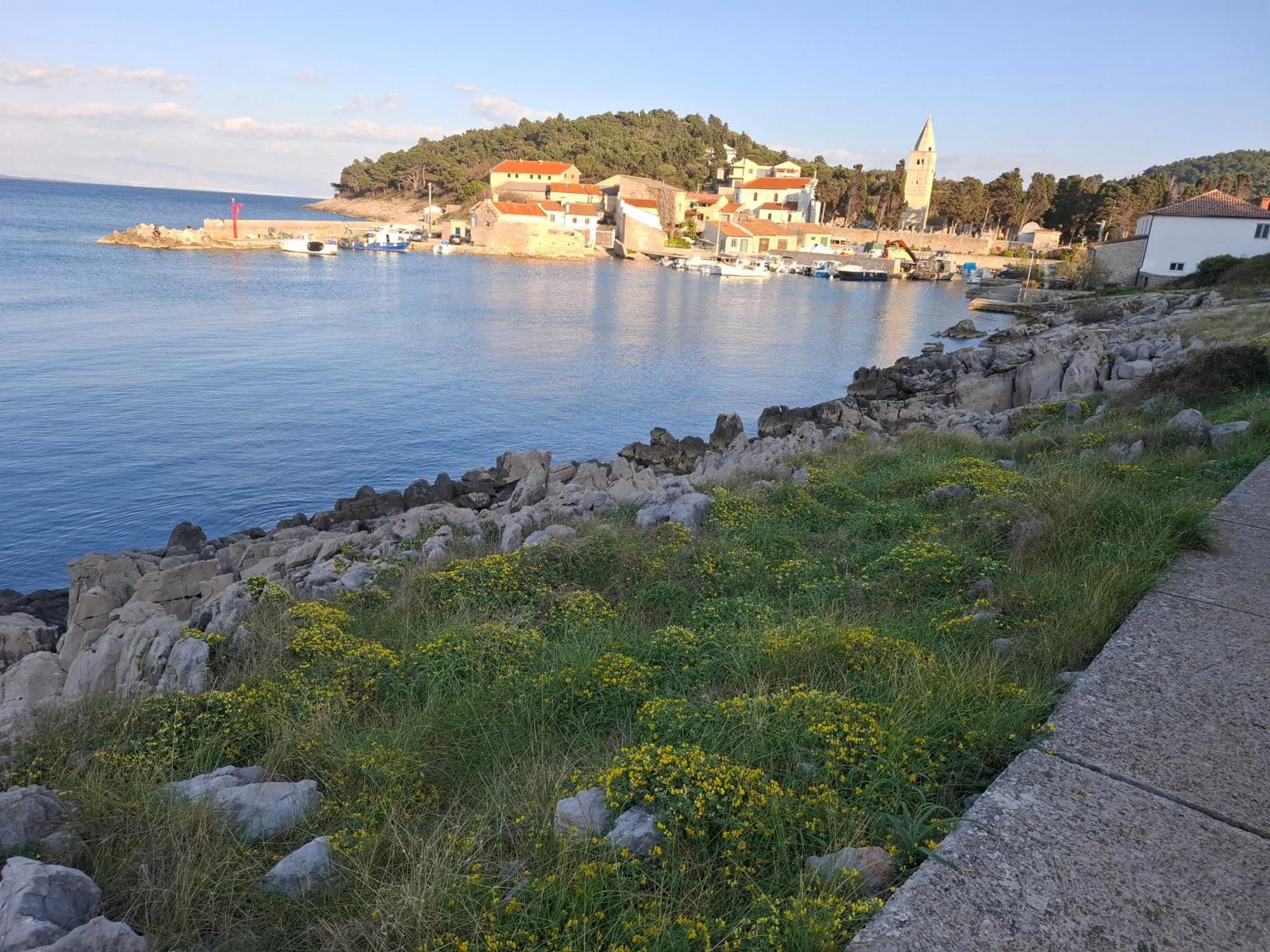 Apartments Suncica Mali Losinj Exterior photo
